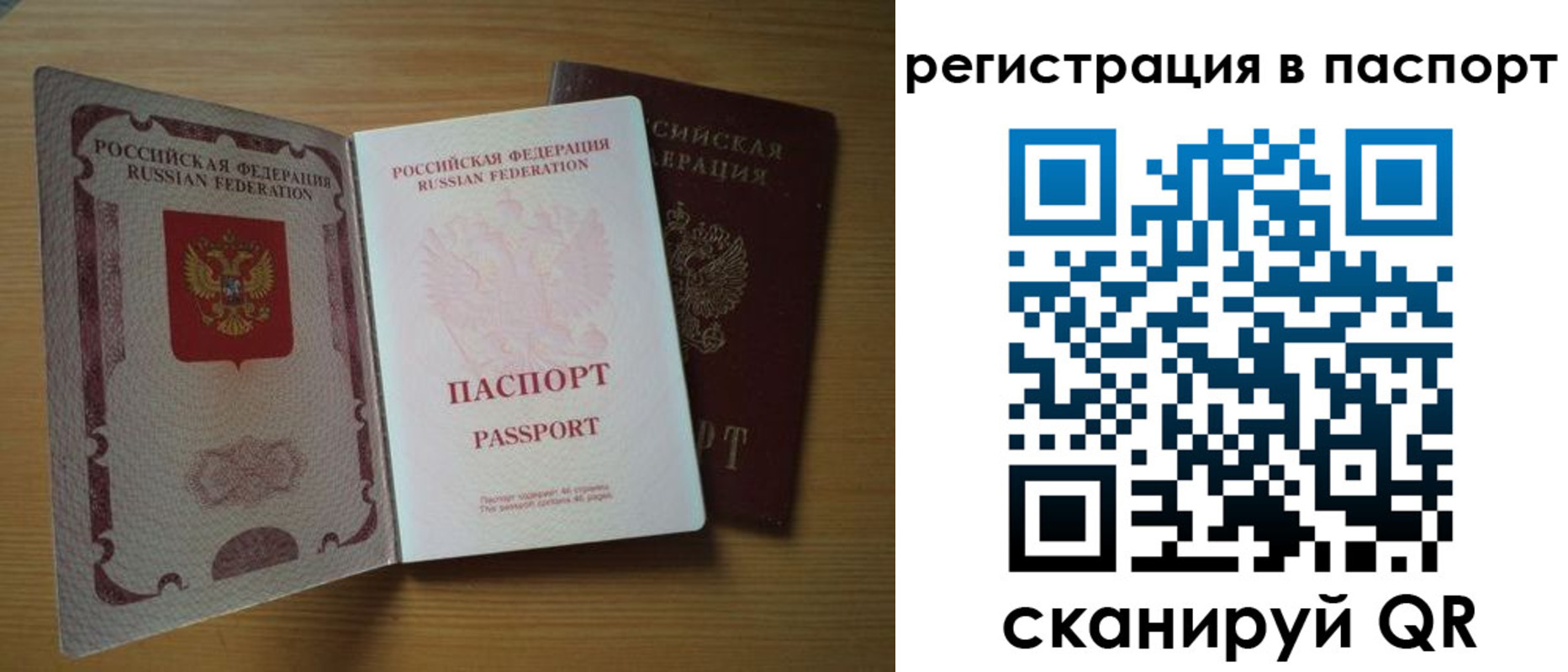 прописка 2025 в Оленегорске